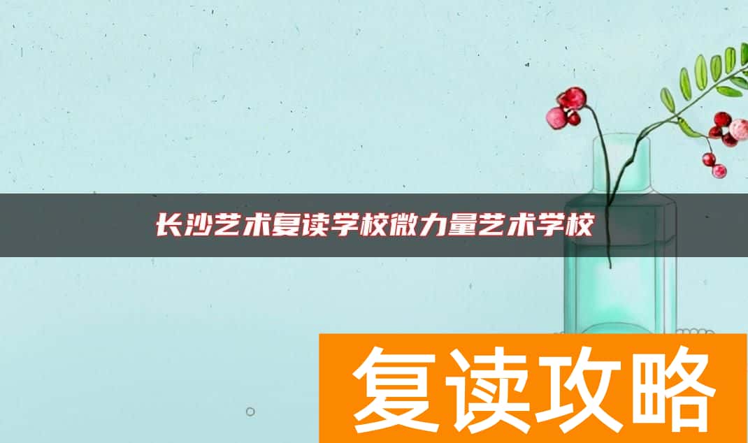 长沙艺术复读学校微力量艺术学校